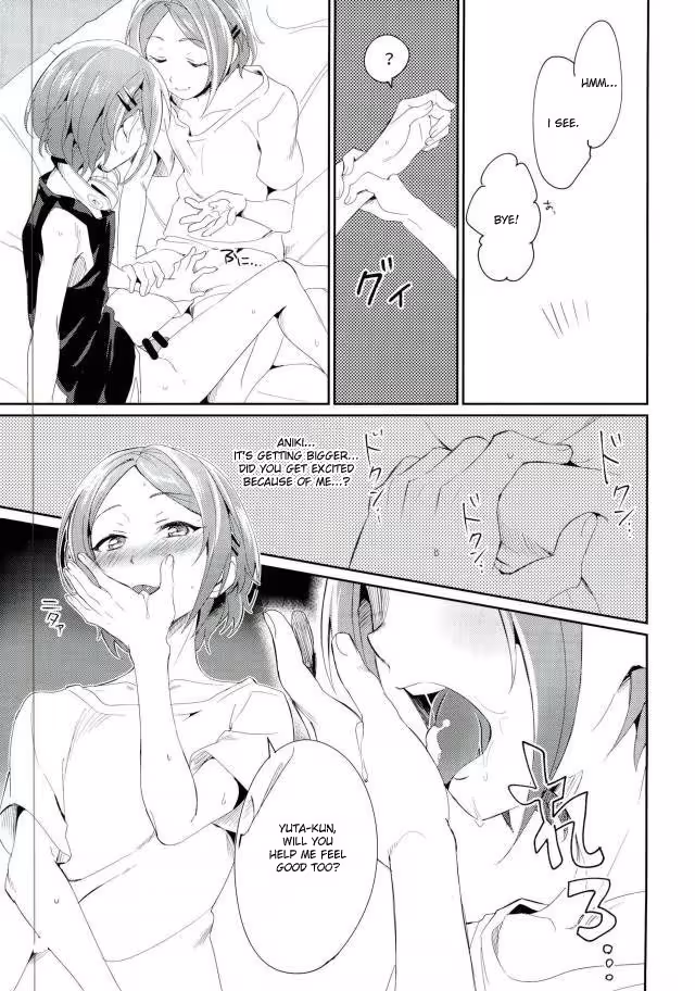 Onii-chan Chronicles: A Brother’s Journey in Love