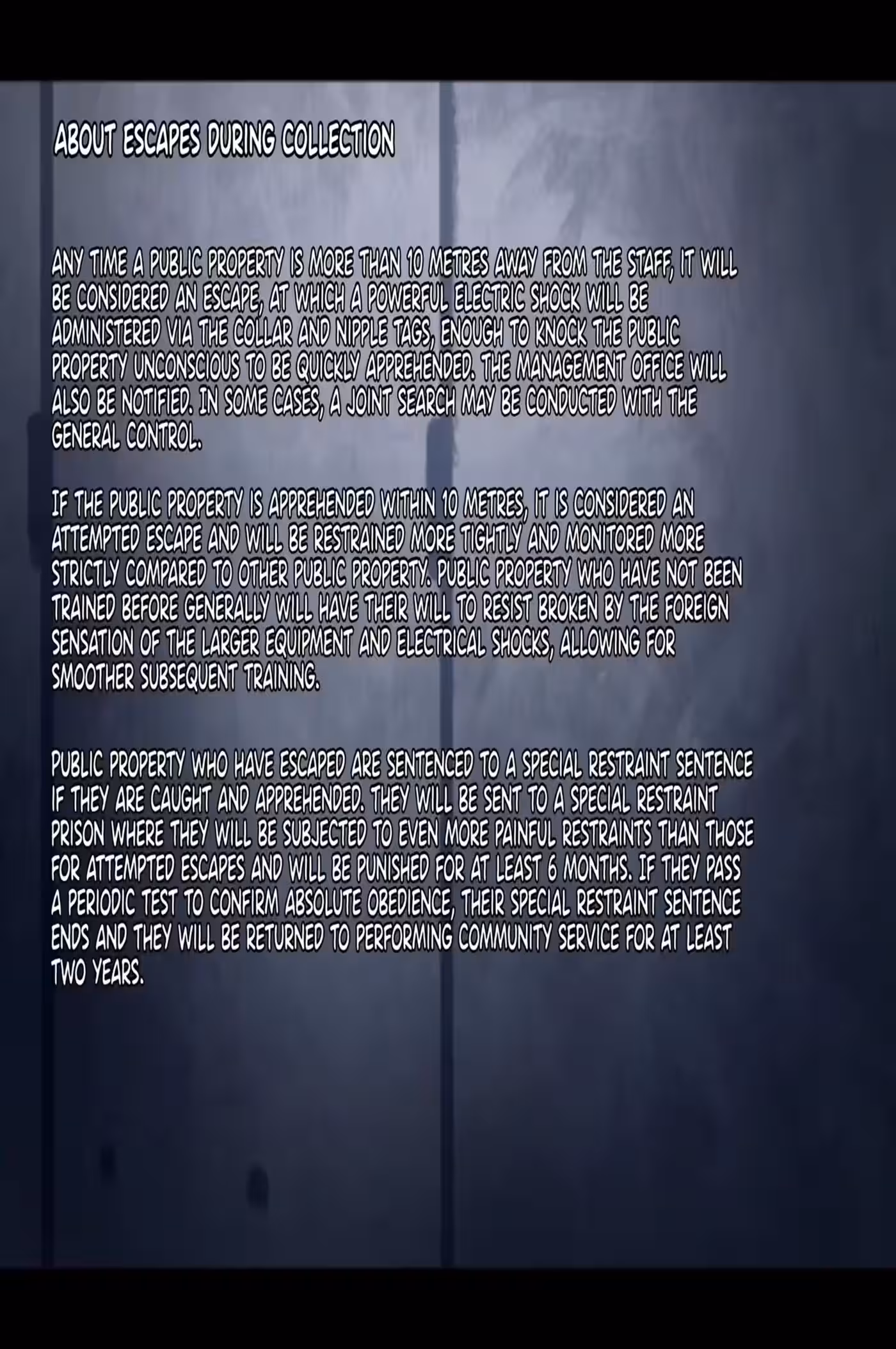 Beyond the Facade of Public Property Girls: Deception and Desire